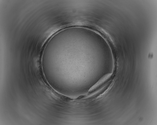 X0000090901170200707301406