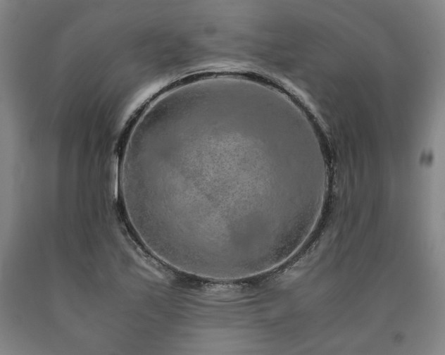 X0000090901171200707301406