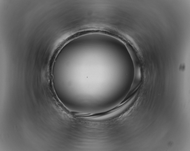 X0000090901172200707301406