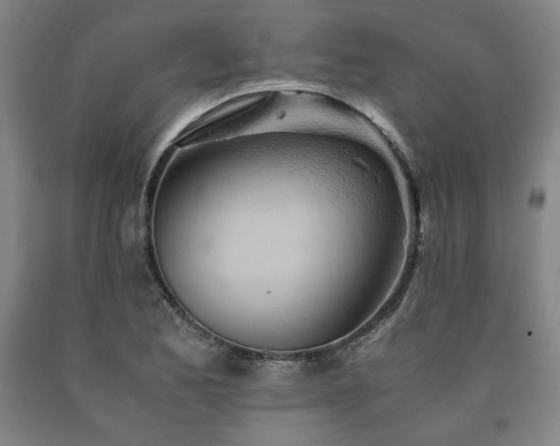 X0000090901173200707301406