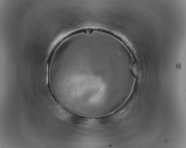 X0000090901175200707301406