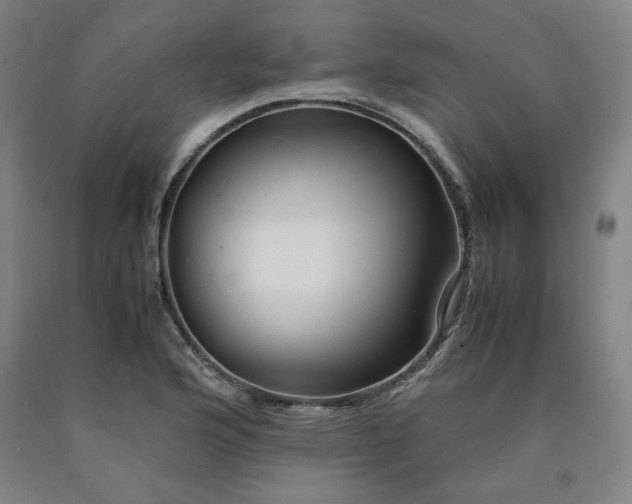 X0000090901176200707301406