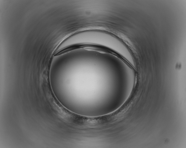 X0000090901177200707301406