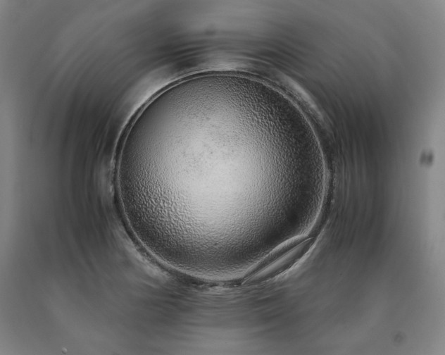 X0000090901178200707301406