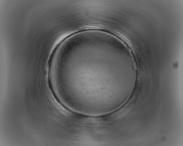 X0000090901179200707301406