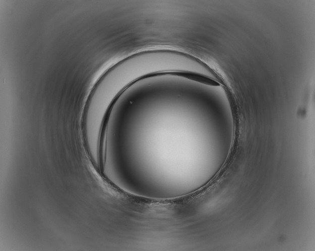 X0000090901181200707301406