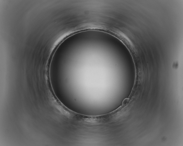 X0000090901182200707301406