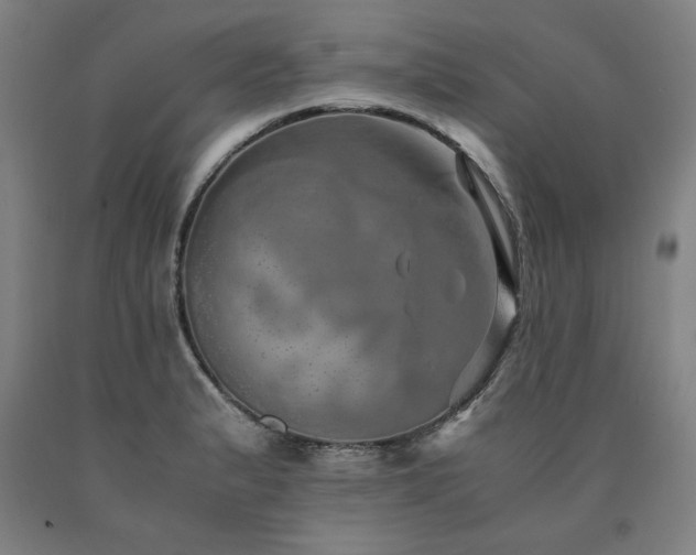 X0000090901183200707301406