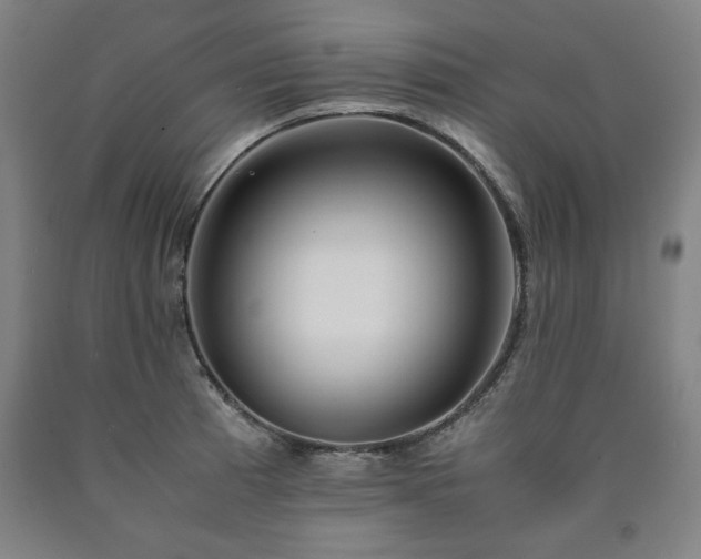 X0000090901185200707301406