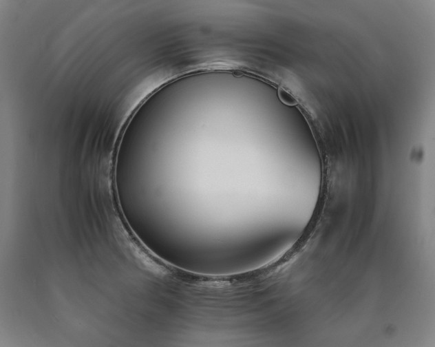 X0000090901186200707301406
