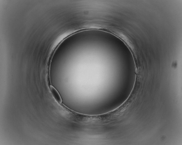 X0000090901187200707301406
