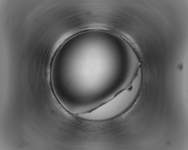 X0000090901188200707301406