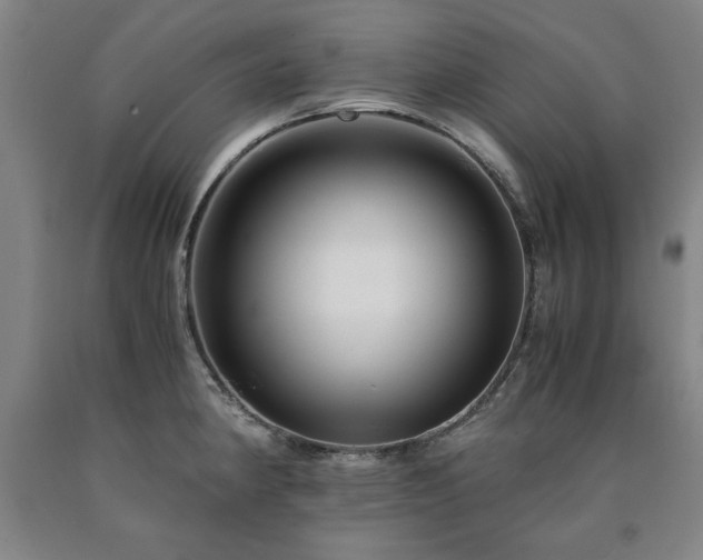 X0000090901190200707301406