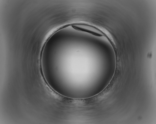 X0000090901191200707301406