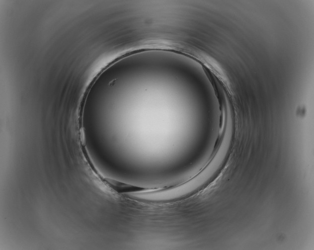X0000090901192200707301406