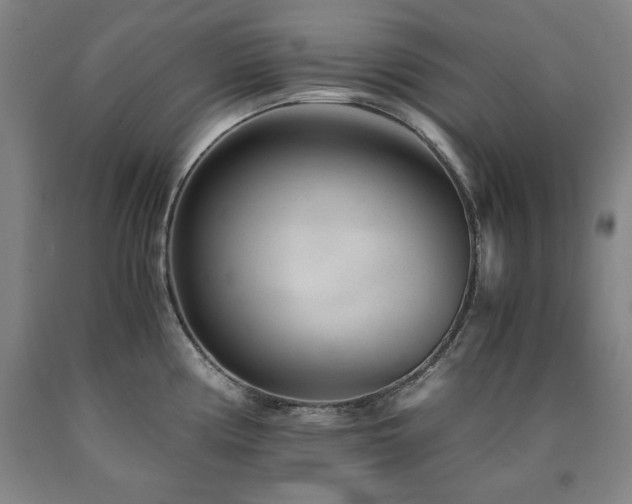 X0000090901194200707301406