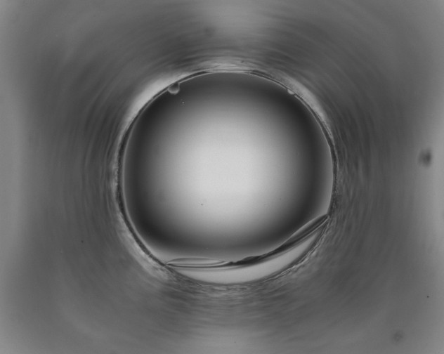 X0000090901195200707301406