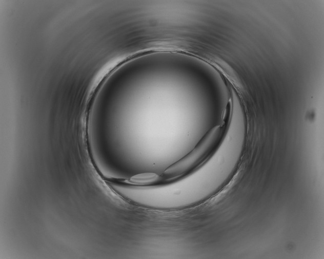 X0000090901196200707301406