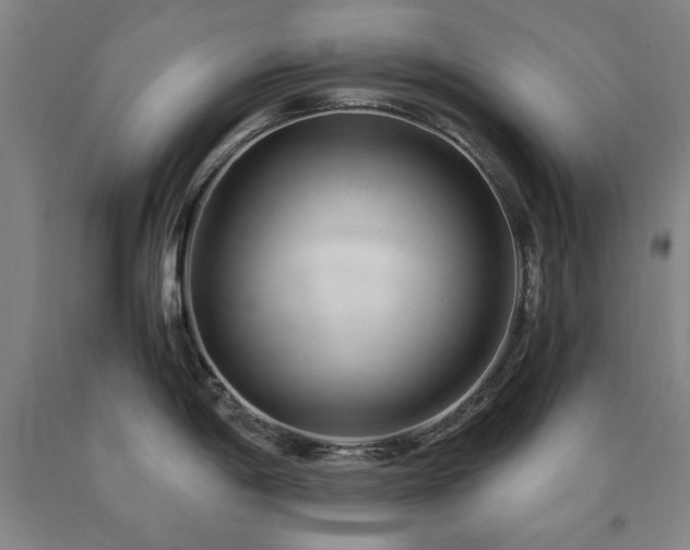 X0000090901198200707301406