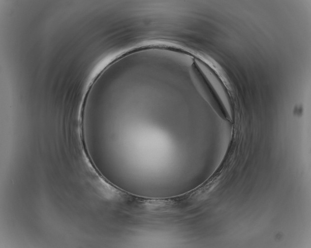 X0000090901199200707301406