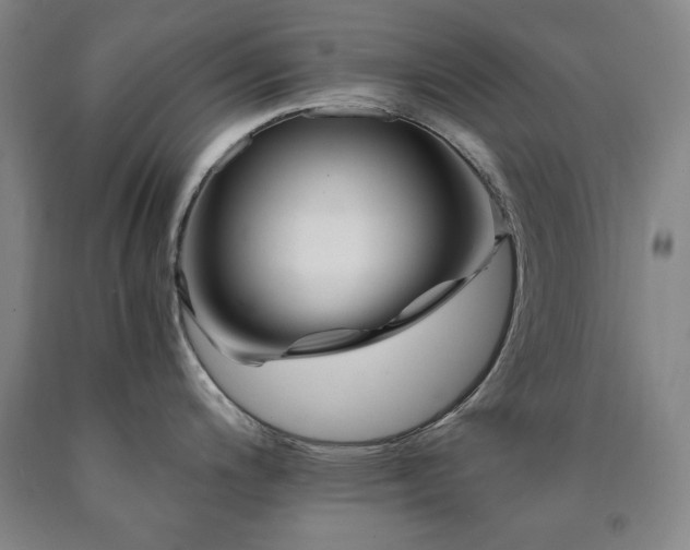 X0000090901200200707301406