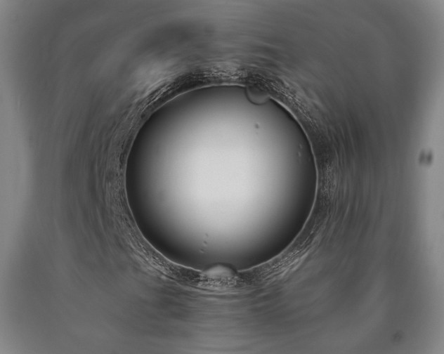 X0000090901201200707301405