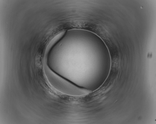 X0000090901202200707301405