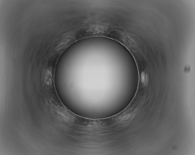 X0000090901203200707301405