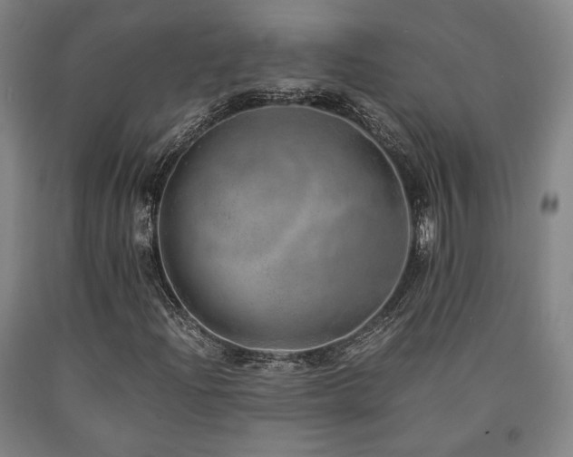 X0000090901204200707301405