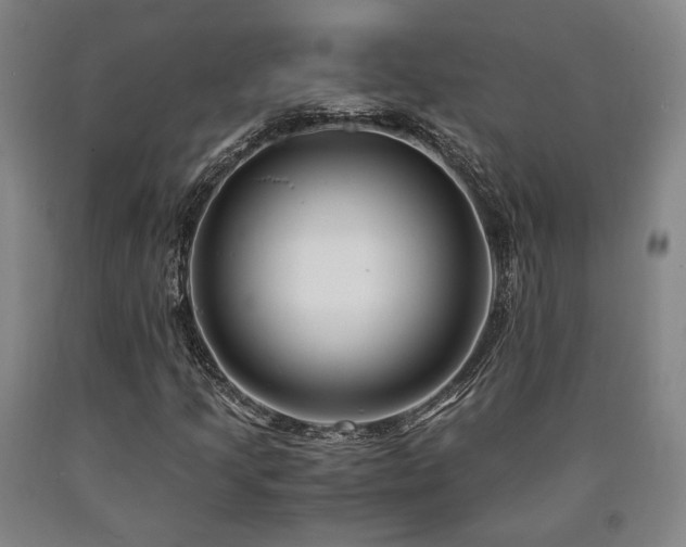 X0000090901205200707301405