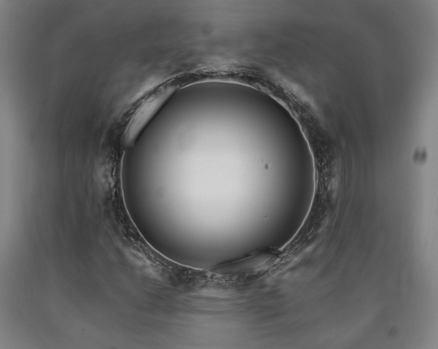 X0000090901206200707301405