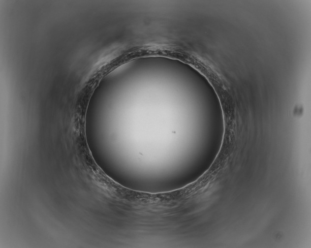 X0000090901207200707301405