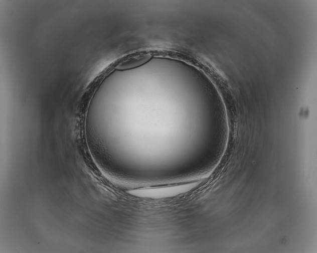 X0000090901208200707301405