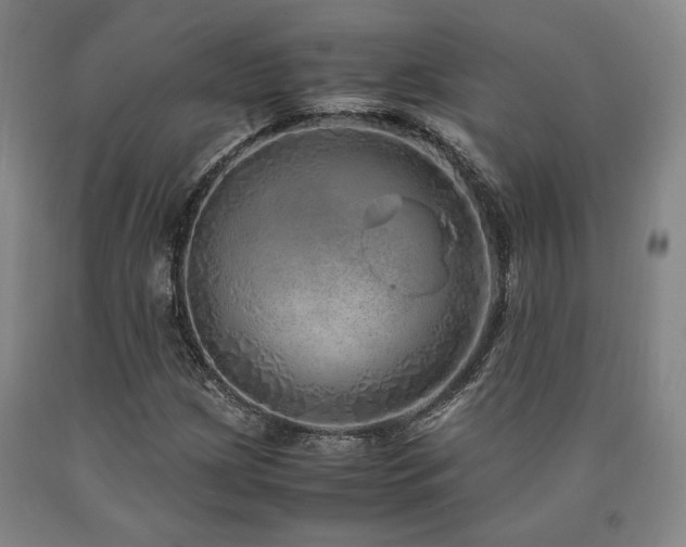 X0000090901209200707301405
