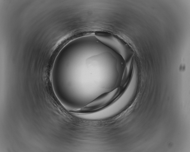 X0000090901210200707301405