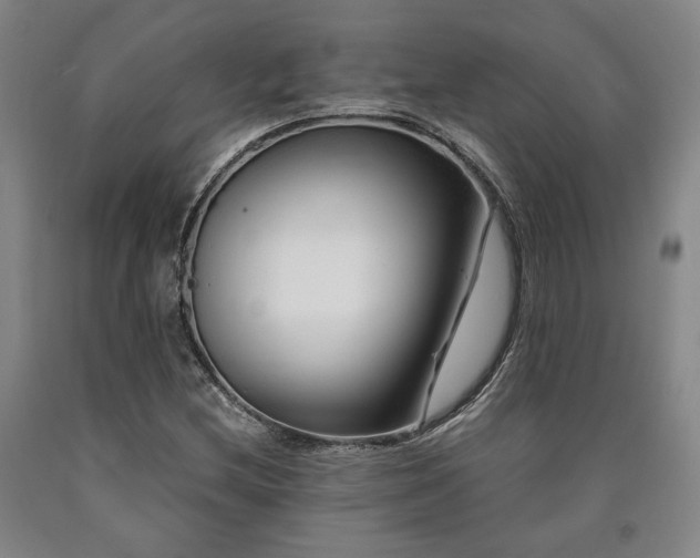 X0000090901212200707301405