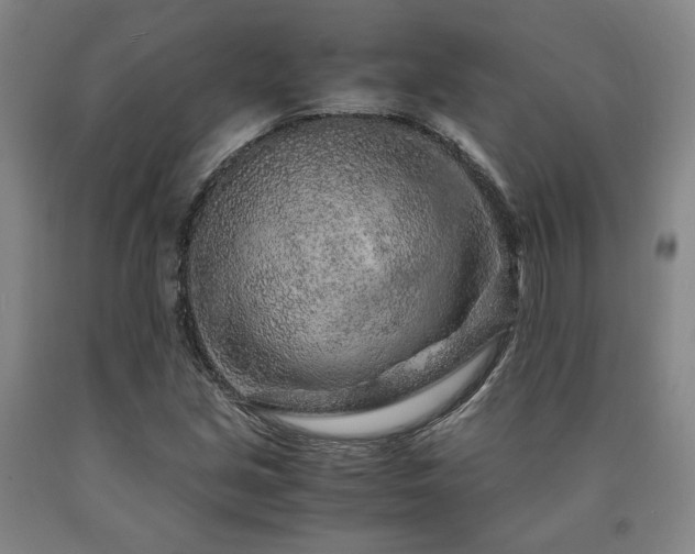 X0000090901213200707301405