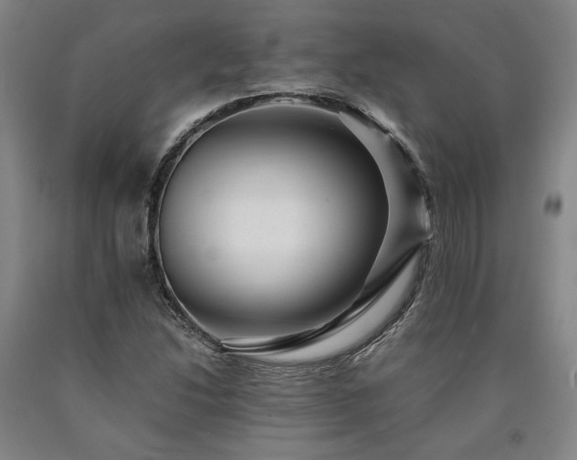 X0000090901214200707301405