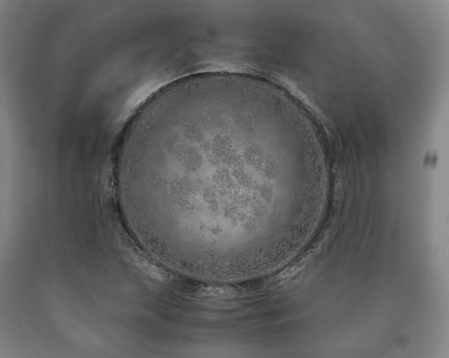 X0000090901215200707301405