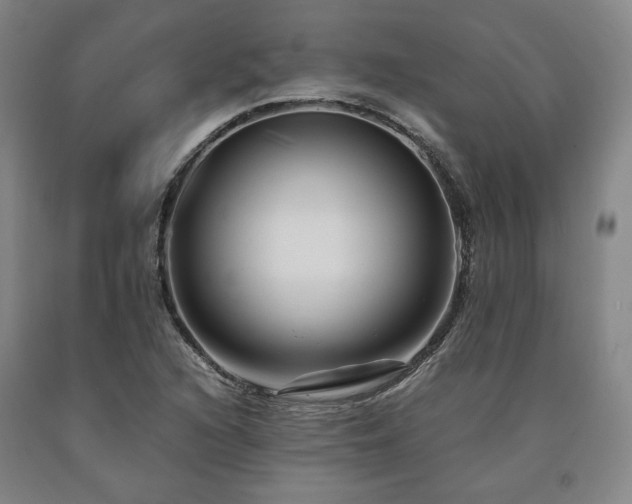 X0000090901216200707301405