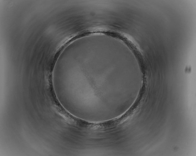 X0000090901217200707301405