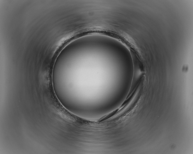 X0000090901218200707301405