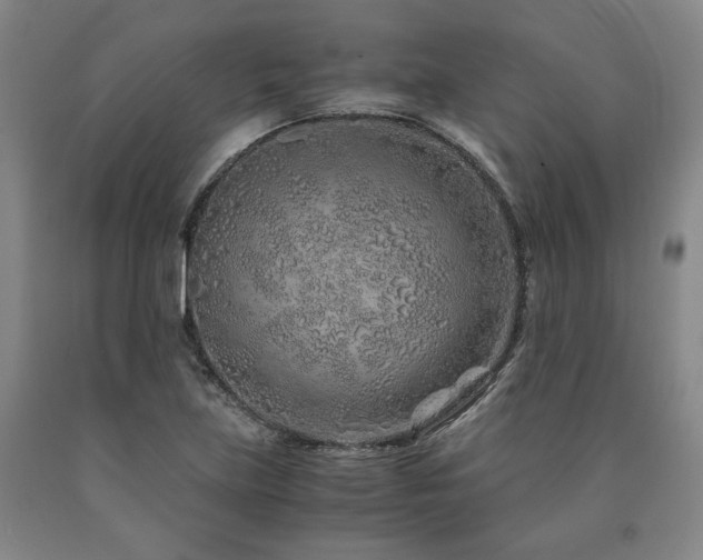 X0000090901219200707301405