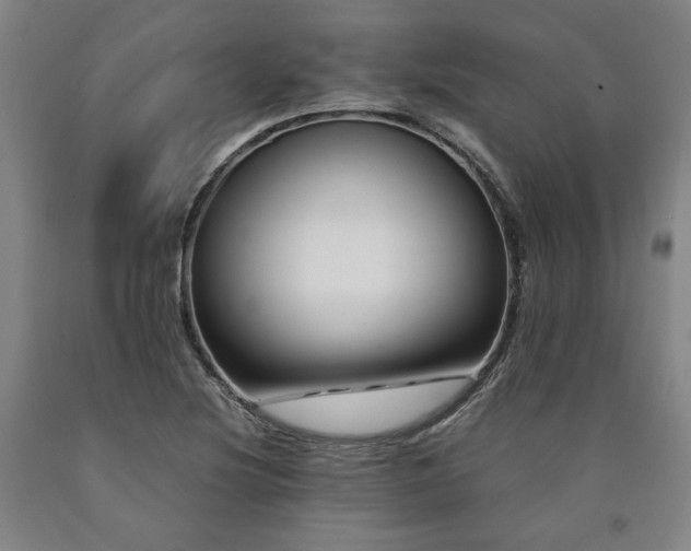 X0000090901220200707301405