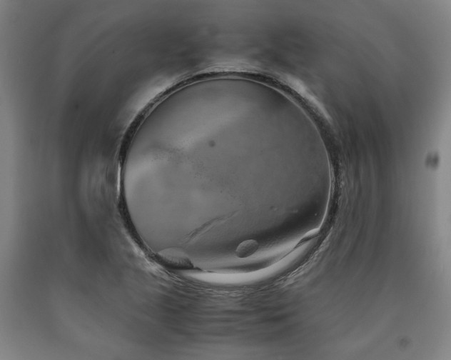 X0000090901221200707301405