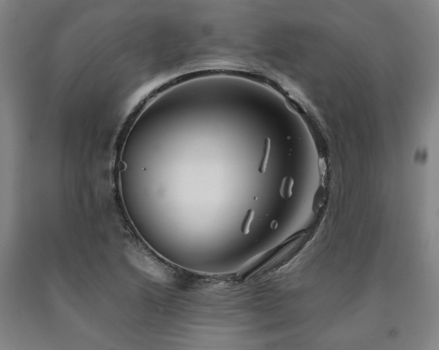 X0000090901222200707301406