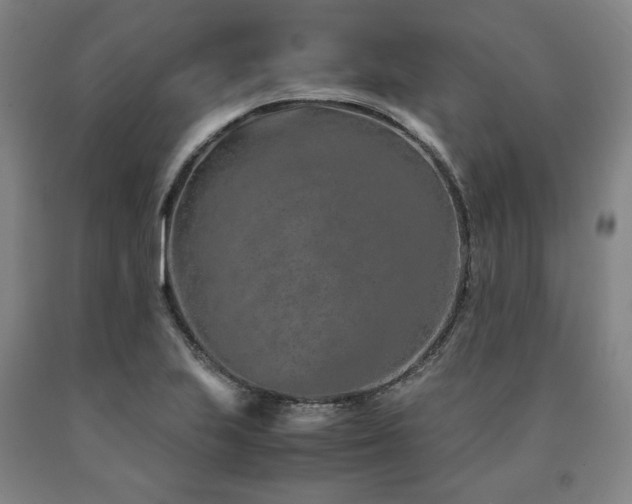 X0000090901223200707301406