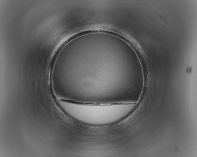 X0000090901224200707301406