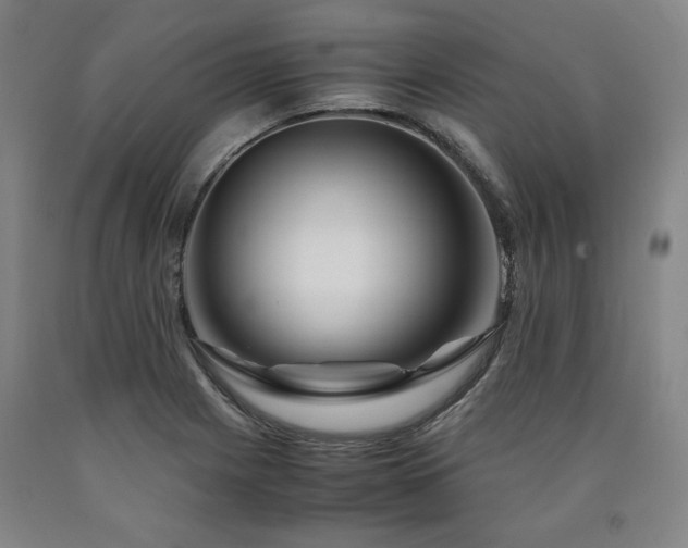 X0000090901225200707301406
