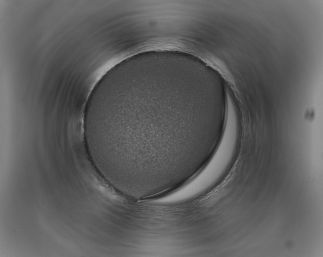 X0000090901226200707301406